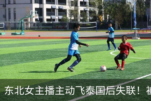 东北女主播主动飞泰国后失联！被绑缅甸索60万，遭折磨精神已崩溃